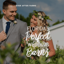 Ever After Farms